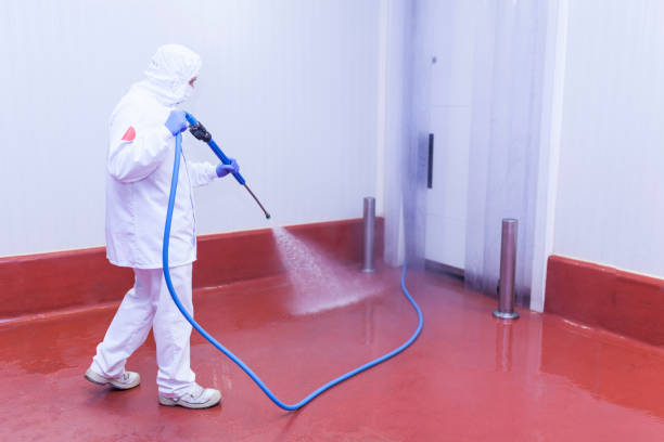 Best Rust Removal  in Oswego, NY